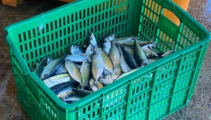 Cuaca Buruk, Pemicu Naiknya Harga Ikan di Gorontalo