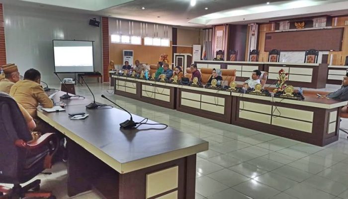 Deasy: Perencanaan 2024 Pemkab Gorut Harus Realistis