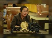 Pelaksanaan Pemenuhan Kuota PPPK Kabupaten Gorut Dipertanyakan