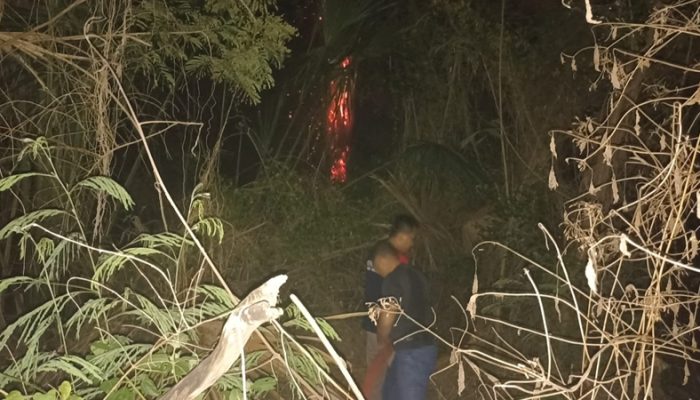 4 Jam Dilahap Si Jago Merah, Cagar Alam Panua Terbakar