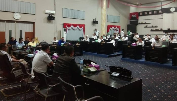 Ranperda P2KPK-PK, Pansus Bersikeras Masukkan 20 Persen RTH di Kawasan