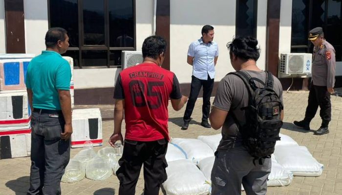 Polres Gorut Ungkap Penyelundupan Miras Dalam Mobil Expedisi Ikan Box