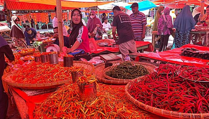 Harga Cabai Melonjak, Pendapatan Pedagang Menurun