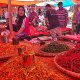 Pendapatan Cabai
