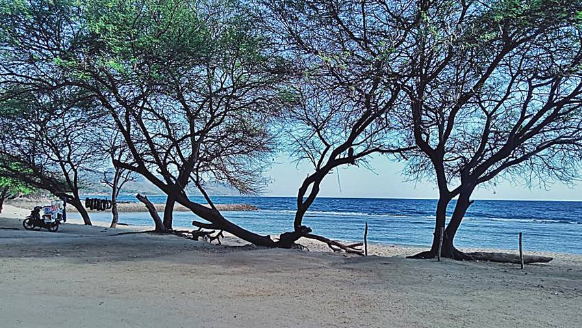 Pantai Kurenai