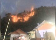 Lahan Perkebunan di Isimu Utara Terbakar, Damkar Kesulitan Lakukan Pemadaman