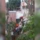 tertimpa pohon tumbang