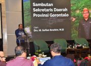 Pemprov Gorontalo Tambah 13 Etalase di E-Katalog Lokal