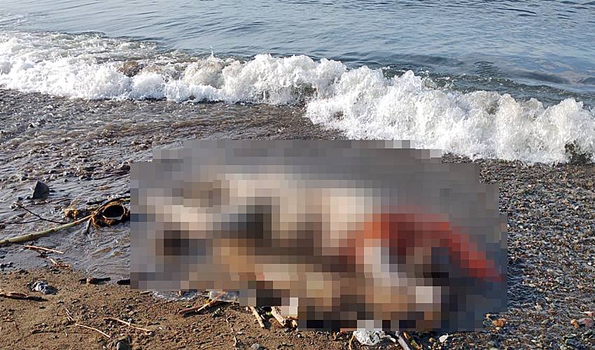 Sesosok Mayat Perempuan Tanpa Identitas Ditemukan di Pantai Biluhu