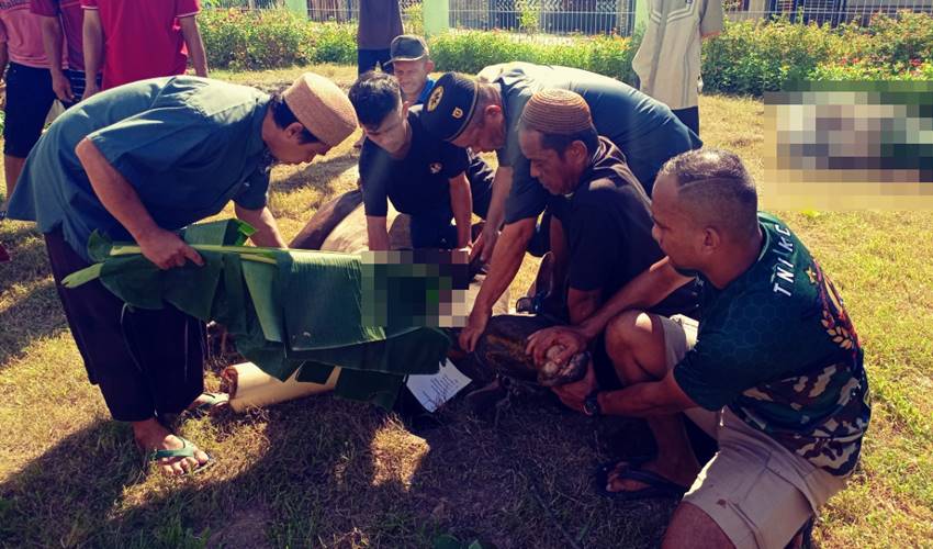 Berbagi Kebaikan, Takmirul Masjid Al' Isra Buladu Salurkan Hewan Qurban