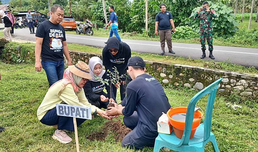 Bunga Desa di Tilongkabila_ Merlan Lakukan Penanaman Bibit Pohon