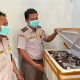 Balai Karantina Gorontalo Amankan Puluhan Ekor Tikus Tanpa Dokumen