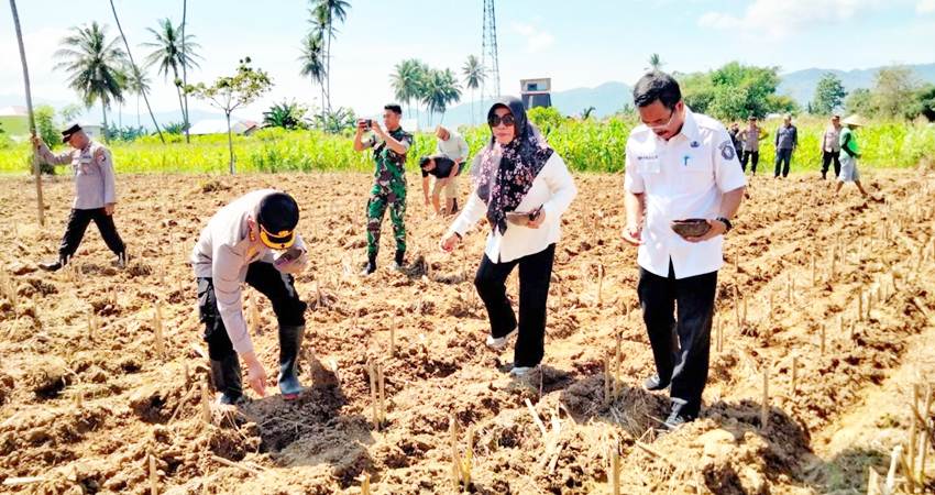 Suasana launching gugus tugas ketahanan pangan nasional yang diselenggarakan Polresta Gorontalo Kota, Rabu (20/11/2024). (Foto: Prokopim Pemkot Gorontalo)