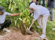 Merlan Tanam Pohon Tabebuya di Danau Perintis, Upaya Mempercantik Destinasi Wisata Unggulan