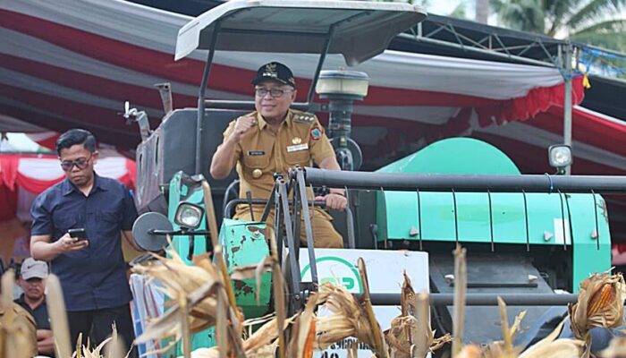 Sofyan Puhi: Perluasan Lahan Panen Jagung Butuh Kolaborasi