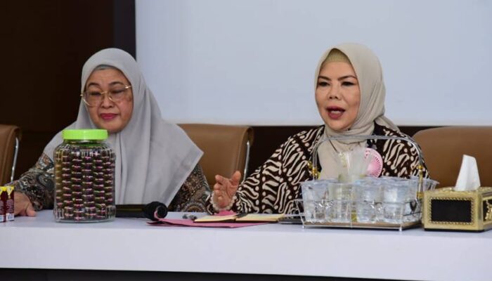 Ini Penyampaian Wagub Idah saat Kunjungi RS Ainun Habibie