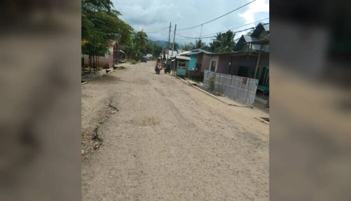 Ketua Laskar Macan Asia Prihatin dengan Jalan Rusak di Botumoito