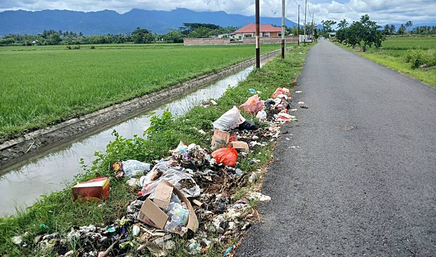 Tak Hanya di Desa Moutong, Sampah Juga Berserakan di Area Persawahan Olohuta Utara