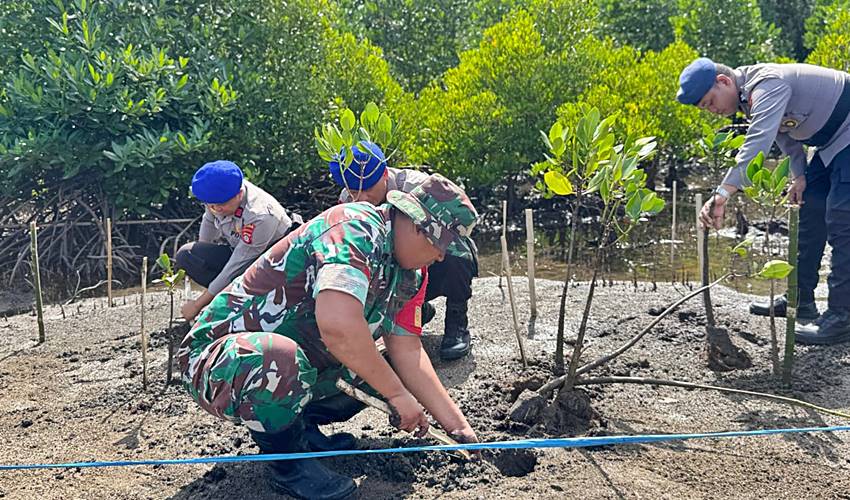 Aksi Penanaman Mangrove Warnai Peringatan Hari Lingkungan Hidup di Boalemo