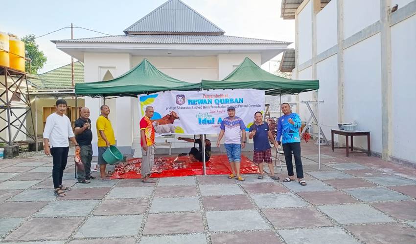 Penyembelihan hewan kurban yang dilaksanakan Dispora Provinsi Gorontalo.