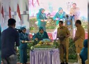 Gusnar Sebut, PKK Punya Posisi Strategis Koordinasikan Organisasi Wanita