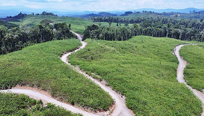 IGL dan BTL Komit Bantu Korban Banjir di Pohuwato