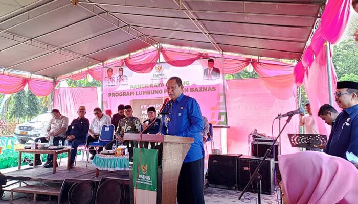 Panen Raya Jagung di Bonbol, Simbol Gerakan Kolaboratif Dorong Kemandirian Ekonomi