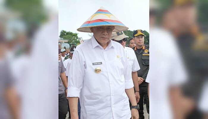 Penyerapan Gabah dan Beras oleh Bulog Gorontalo Capai 91 Persen