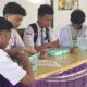 Wadah Makanan Pake Bahan Plastik, Program MBG di Kabgor Tuai Kritikan