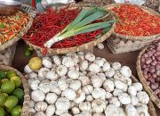 Harga Tomat di Pasar Sentral Kota Gorontalo Meroket, Tembus Rp 35 Ribu per Kilogram
