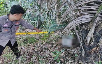 Sesosok Mayat Pria Tanpa Identitas Ditemukan di Limboto Barat