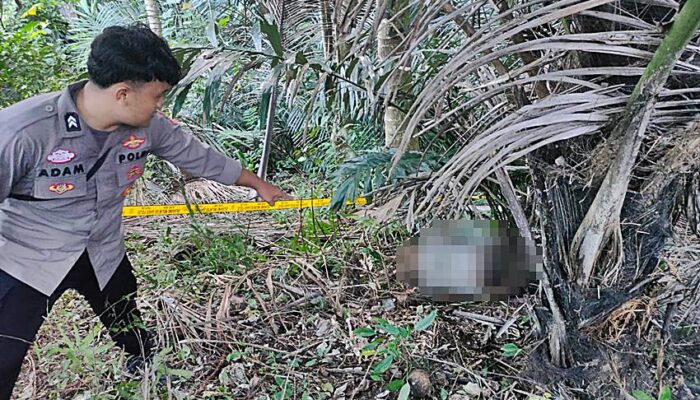 Sesosok Mayat Pria Tanpa Identitas Ditemukan di Limboto Barat