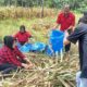 Aleg Kabgor Ini Turun Serap Aspirasi Petani saat Peringatan Hari Tani