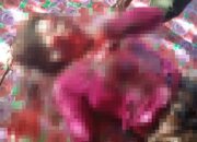 Seorang Wanita di Gorut Diduga Tewas Dibunuh Suami Sendiri, PIL Jadi Pemicu