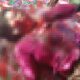 Seorang Wanita di Gorut Diduga Tewas Dibunuh Suami Sendiri, PIL Jadi Pemicu