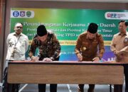 Kaltim jadi Pasar Utama Penjualan Sapi Gorontalo