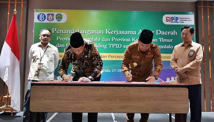 Kaltim jadi Pasar Utama Penjualan Sapi Gorontalo