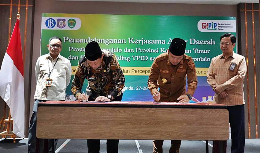 Kaltim jadi Pasar Utama Penjualan Sapi Gorontalo