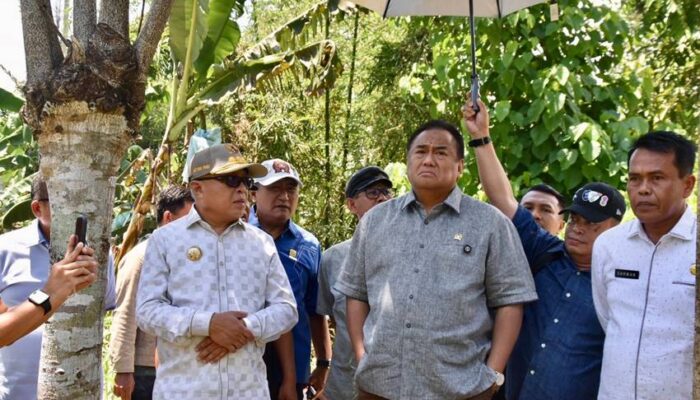Kecamatan Pulubala bakal Dijadikan Lokasi Demplot Pisang