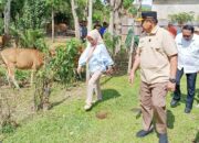 Serahkan 793 Ekor Sapi ke Warga Kabgor, Gubernur Gusnar Tunaikan Janjinya