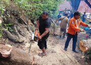 Pohon Tumbang dan Bencana Longsor Terjang Sejumlah Wilayah di Kota Gorontalo