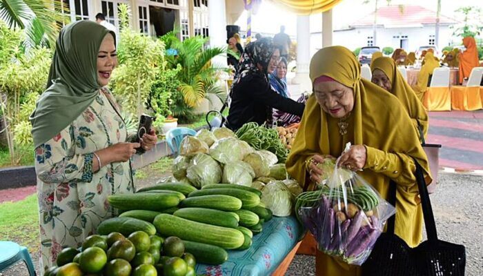 Cara Unik Wagub Idah Syahidah Peringati Hari Pernikahan dengan Rusli Habibie