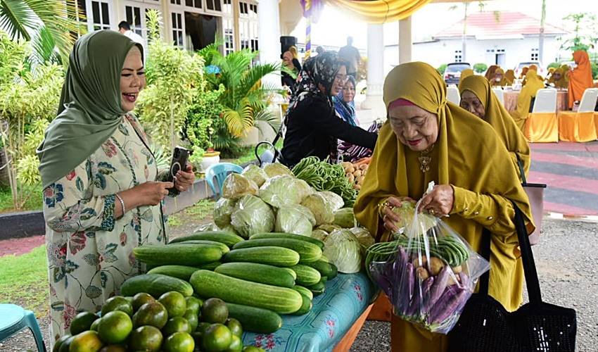 Cara Unik Wagub Idah Syahidah Peringati Hari Pernikahan dengan Rusli Habibie
