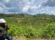Industri Biomassa Gorontalo Bebas Deforestasi, Ribuan Rakyat Makin Sejahtera Berkat BJA Group