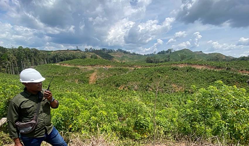 Industri Biomassa Gorontalo Bebas Deforestasi, Ribuan Rakyat Makin Sejahtera Berkat BJA Group
