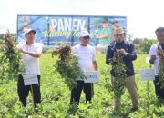 Pemkab Gorontalo Seriusi Pengembangan Komoditi Kacang