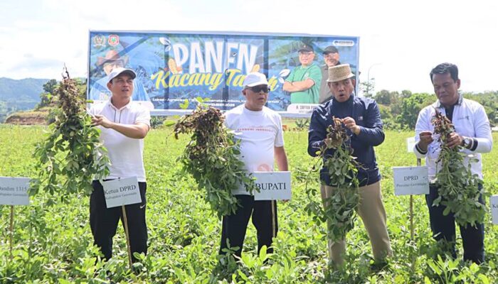 Pemkab Gorontalo Seriusi Pengembangan Komoditi Kacang