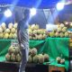 Baru Segelintir Jualan, Lapak Durian Milik Asal Pemuda Bitung jadi 'Primadona'