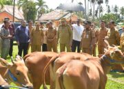 Gubernur Gusnar Tinjau Perkembangan Bantuan Ternak Sapi di Pohuwato
