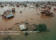 Menutup Tahun, LindungiHutan Dorong Solusi Berbasis Alam Hadapi Tantangan Iklim